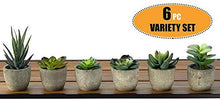 Load image into Gallery viewer, 6 Pots Small Artificial Succulent Plants Mini Fake Faux Suculentas Pot For Shelf Kitchen Counter Office Decor Tiny Miniature Desk Plant Succulents Decoration Accessories Potted Plastic Cactus Aloe: Home &amp; Kitchen