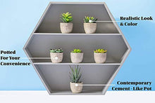 Load image into Gallery viewer, 6 Pots Small Artificial Succulent Plants Mini Fake Faux Suculentas Pot For Shelf Kitchen Counter Office Decor Tiny Miniature Desk Plant Succulents Decoration Accessories Potted Plastic Cactus Aloe: Home &amp; Kitchen