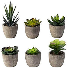 Load image into Gallery viewer, 6 Pots Small Artificial Succulent Plants Mini Fake Faux Suculentas Pot For Shelf Kitchen Counter Office Decor Tiny Miniature Desk Plant Succulents Decoration Accessories Potted Plastic Cactus Aloe: Home &amp; Kitchen