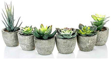 Load image into Gallery viewer, 6 Pots Small Artificial Succulent Plants Mini Fake Faux Suculentas Pot For Shelf Kitchen Counter Office Decor Tiny Miniature Desk Plant Succulents Decoration Accessories Potted Plastic Cactus Aloe: Home &amp; Kitchen