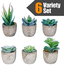 Load image into Gallery viewer, 6 Pots Small Artificial Succulent Plants Mini Fake Faux Suculentas Pot For Shelf Kitchen Counter Office Decor Tiny Miniature Desk Plant Succulents Decoration Accessories Potted Plastic Cactus Aloe: Home &amp; Kitchen