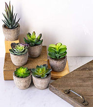 Load image into Gallery viewer, 6 Pots Small Artificial Succulent Plants Mini Fake Faux Suculentas Pot For Shelf Kitchen Counter Office Decor Tiny Miniature Desk Plant Succulents Decoration Accessories Potted Plastic Cactus Aloe: Home &amp; Kitchen