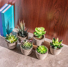 Load image into Gallery viewer, 6 Pots Small Artificial Succulent Plants Mini Fake Faux Suculentas Pot For Shelf Kitchen Counter Office Decor Tiny Miniature Desk Plant Succulents Decoration Accessories Potted Plastic Cactus Aloe: Home &amp; Kitchen