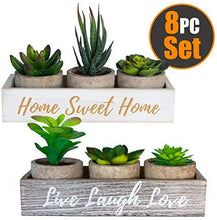 Load image into Gallery viewer, 6 Pots Small Artificial Succulent Plants Mini Fake Faux Suculentas Pot For Shelf Kitchen Counter Office Decor Tiny Miniature Desk Plant Succulents Decoration Accessories Potted Plastic Cactus Aloe: Home &amp; Kitchen