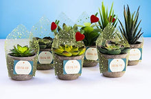 Load image into Gallery viewer, 6 Pots Small Artificial Succulent Plants Mini Fake Faux Suculentas Pot For Shelf Kitchen Counter Office Decor Tiny Miniature Desk Plant Succulents Decoration Accessories Potted Plastic Cactus Aloe: Home &amp; Kitchen