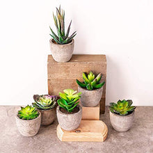 Load image into Gallery viewer, 6 Pots Small Artificial Succulent Plants Mini Fake Faux Suculentas Pot For Shelf Kitchen Counter Office Decor Tiny Miniature Desk Plant Succulents Decoration Accessories Potted Plastic Cactus Aloe: Home &amp; Kitchen