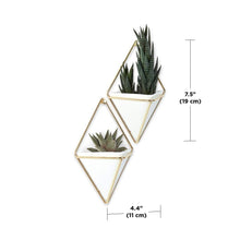 Load image into Gallery viewer, Umbra Trigg Hanging Planter Vase &amp; Geometric Wall Decor Container, Small, White/Brass