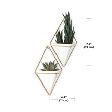 Load image into Gallery viewer, Umbra Trigg Hanging Planter Vase &amp; Geometric Wall Decor Container, Small, White/Brass