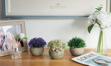 Load image into Gallery viewer, The Bloom Times 2 Pcs Fake Plants for Bathroom/Home Office Decor, Small Artificial Faux Greenery for House Decorations (Potted Plants)