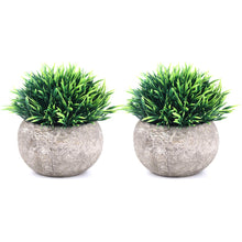 Load image into Gallery viewer, The Bloom Times 2 Pcs Fake Plants for Bathroom/Home Office Decor, Small Artificial Faux Greenery for House Decorations (Potted Plants)