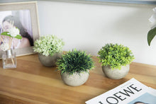Load image into Gallery viewer, The Bloom Times 2 Pcs Fake Plants for Bathroom/Home Office Decor, Small Artificial Faux Greenery for House Decorations (Potted Plants)