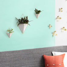 Load image into Gallery viewer, Umbra Trigg Hanging Planter Vase &amp; Geometric Wall Decor Container, Small, White/Brass