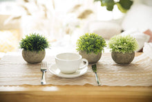 Load image into Gallery viewer, The Bloom Times 2 Pcs Fake Plants for Bathroom/Home Office Decor, Small Artificial Faux Greenery for House Decorations (Potted Plants)