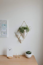 Load image into Gallery viewer, Umbra Trigg Hanging Planter Vase &amp; Geometric Wall Decor Container, Small, White/Brass