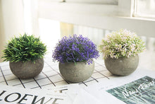 Load image into Gallery viewer, The Bloom Times 2 Pcs Fake Plants for Bathroom/Home Office Decor, Small Artificial Faux Greenery for House Decorations (Potted Plants)