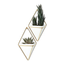Load image into Gallery viewer, Umbra Trigg Hanging Planter Vase &amp; Geometric Wall Decor Container, Small, White/Brass