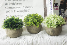 Load image into Gallery viewer, The Bloom Times 2 Pcs Fake Plants for Bathroom/Home Office Decor, Small Artificial Faux Greenery for House Decorations (Potted Plants)