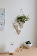 Load image into Gallery viewer, Umbra Trigg Hanging Planter Vase &amp; Geometric Wall Decor Container, Small, White/Brass